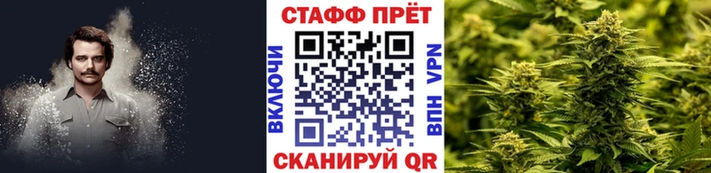 NBOMe Сегежа