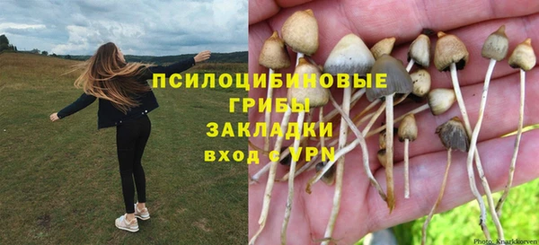 марки lsd Балахна